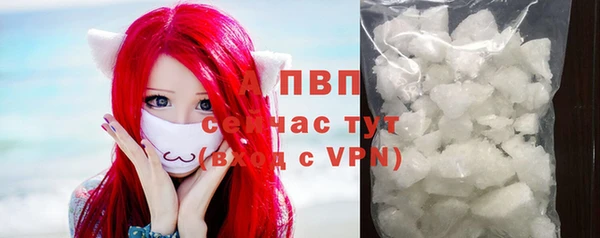 гашик Балахна