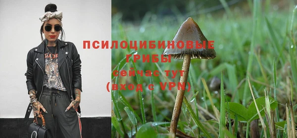 гашик Балахна