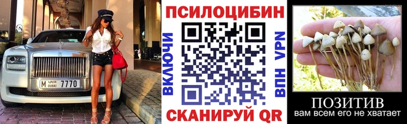 Псилоцибиновые грибы мухоморы  OMG как зайти  Краснокаменск 